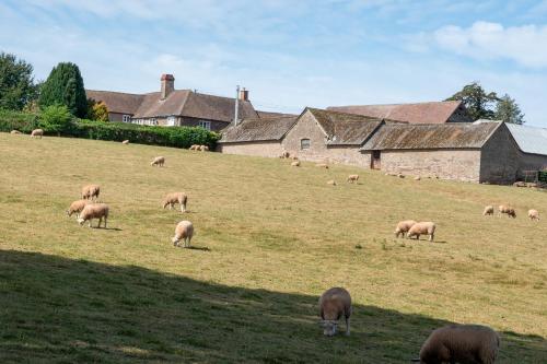 Beautiful cabins in Herefordshire countryside in Bishopstone
