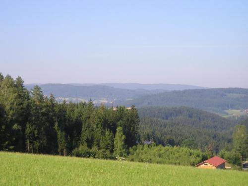 Vedere, Waldmagie in Bobrach