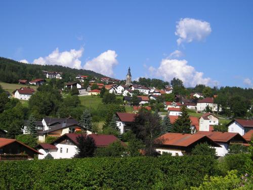 Vedere, Waldmagie in Bobrach