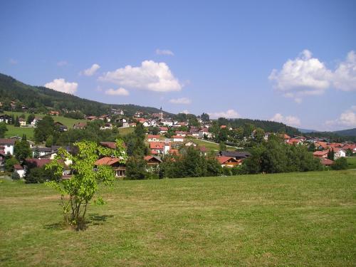 Vedere, Waldmagie in Bobrach