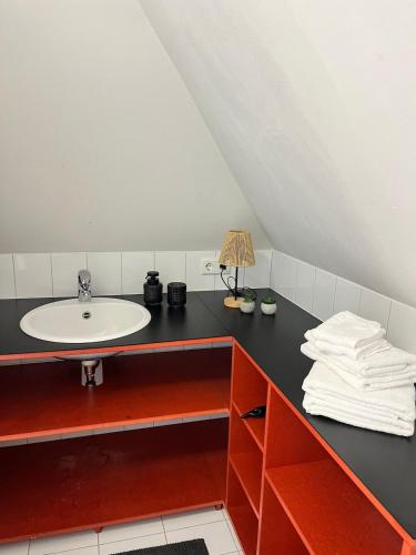 Zentraler Charme im historischen Dachgeschoss, Bregenz (photo 7)
