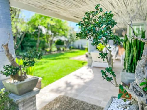 3 on Pine, Luxury Home[WiFi,DSTV,Parking incl]