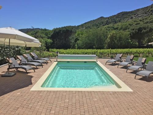 Villa in Plan-de-la-Tour with pool & vineyard view