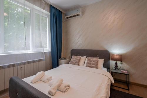 Luminous 2BDR with Balcony & View in the center, Sofia (photo 10)