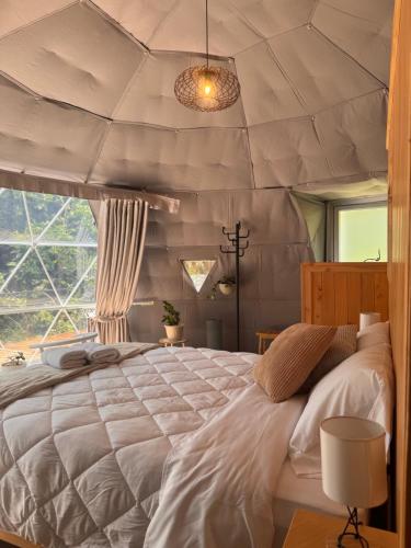 Epífita, Bosque Nuboso Glamping Monteverde (Epifita, Bosque Nuboso Glamping Monteverde) in 蒙特韋德