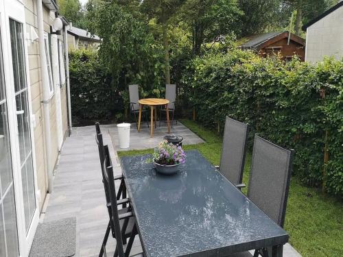 Garden, Chalet in Stegeren near Hiking Trails in Buurtschap Stegerveld