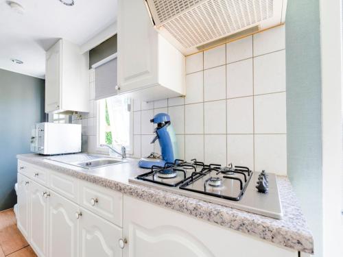 Kitchen, Chalet in Stegeren near Hiking Trails in Buurtschap Stegerveld