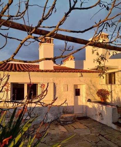 A szálláshely kívülről, Olive -Casa da Boavista in Alegrete