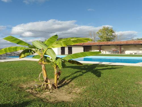 Apkārtne, Luxurious holiday home with private pool in Buzon