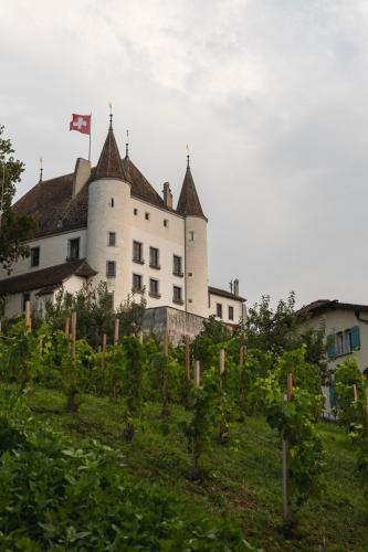 Hôtel Real - image 8