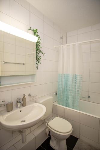 Central Studio Apartment with free BaselCard - Munch, Bâle (photo 3)