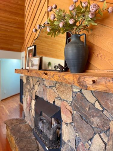 Wounded Warrior Cabin at Grey Valley near Cherokee Bear Zoo