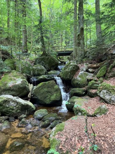 Tuvākā izklaides vieta, Ferienwohnung Ysperklamm in Yspertal