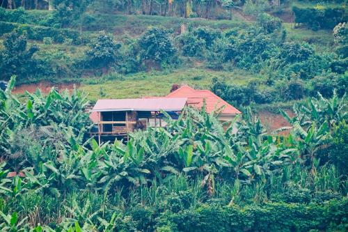 נוף חוץ, Wycliffˋs Eco Lodge in Kabale