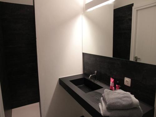 Luxury Villa near Sea in Zuidzande - image 13