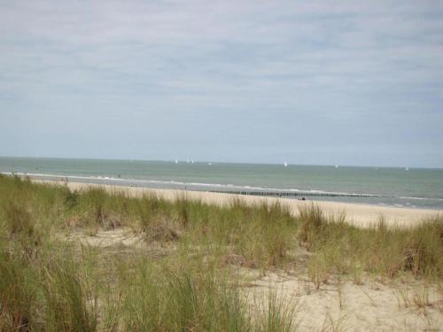 Luxury Villa near Sea in Zuidzande - image 2