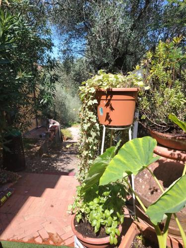 Turisti nella natura in città d'arte