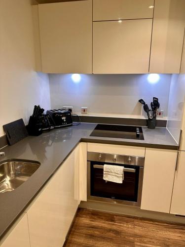 1 Bedroom Apartment- Free Parking, Broad St, City Centre, Birmingham (fotografie 7)
