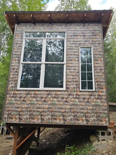 . Northern Lights Camo Cabin #4