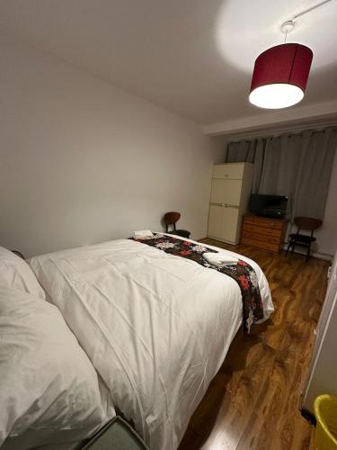 Comfortable Ensuite Room, Near Brick Lane, Close to Metro, Londýn