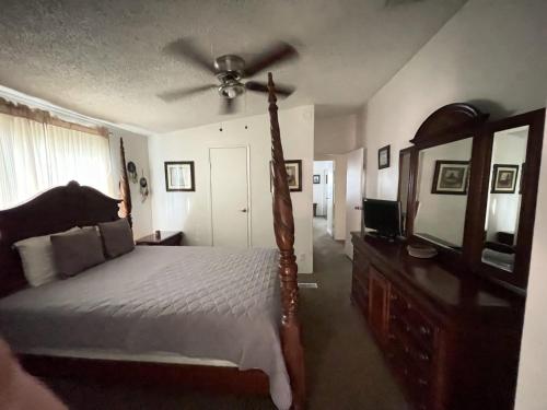 Lillie Pad - image 13