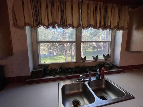Lillie Pad - image 11