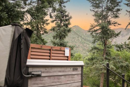 Iekārtas, Mountain Retreat Scenic Views, Hot Tub, Fireplace in Čipitas parks (CO)