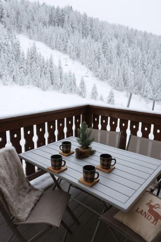 Le Cocon Pyrénéen - Ski aux pieds & Parking Privé - Location saisonnière - Les Angles