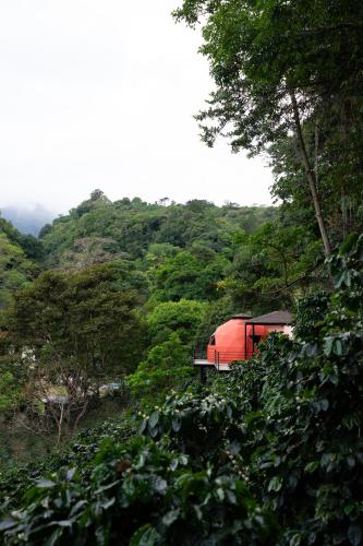 The Dome Boquete in 洛斯納蘭霍斯