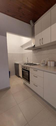 House Vrisnik in Vrisnik