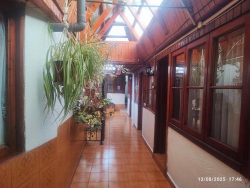 Hostal Gomero in Santa Cruz