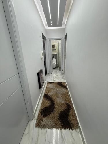 LSH Hotel Nasr City