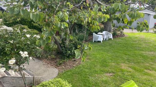 Picture Perfect in the heart of the Village, Greytown (fotografie 9)