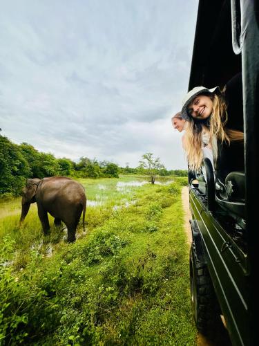 Eco Friendly Lodge in Udawalawe