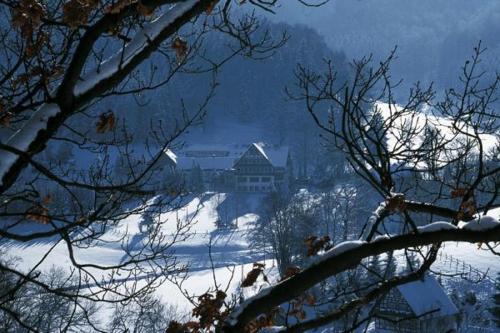 Hotel Gut Vorwald - image 10