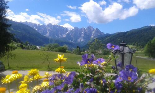 ทัศนียภาพ, Hotel - Restaurant Gosauerhof in กาเซา