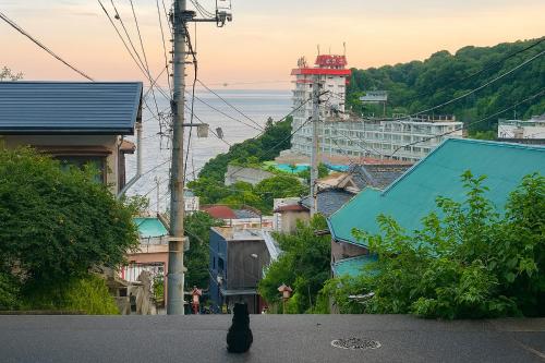 123뮤직 (이즈산 뮤직)