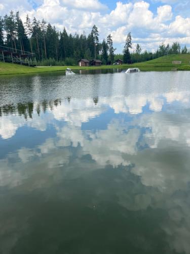 Metsjärve villa (Metsjarve villa) in Ihamaru