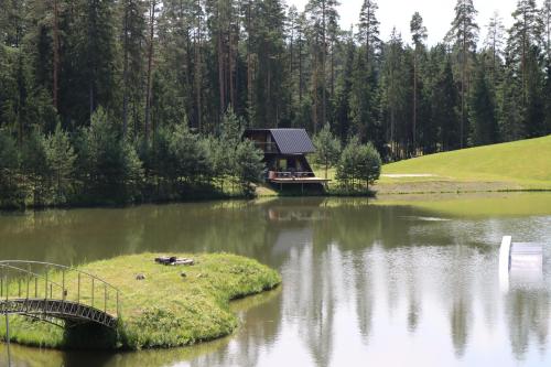Metsjärve villa (Metsjarve villa) in Ihamaru