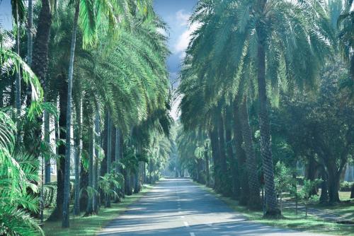 Saenpalm Training Home - 정원