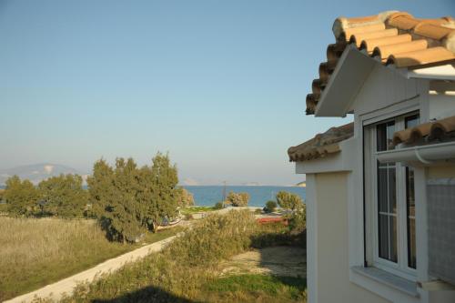  DolphinStudios in Kerion