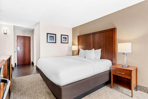 Comfort Inn University Wilmington - image 9