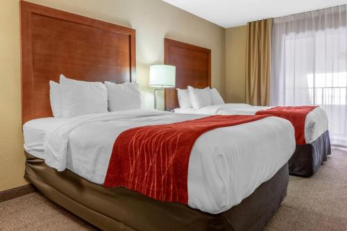 Comfort Inn Albuquerque Airport - image 6