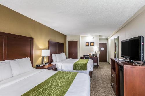 Comfort Inn Medford-Long Island - image 11