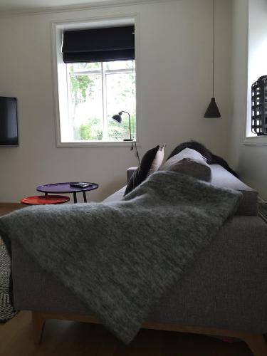 Akureyri Central House - image 13