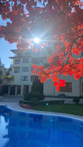 Sea View Apartment in Byala - Pool & Sunrise in 比亞拉