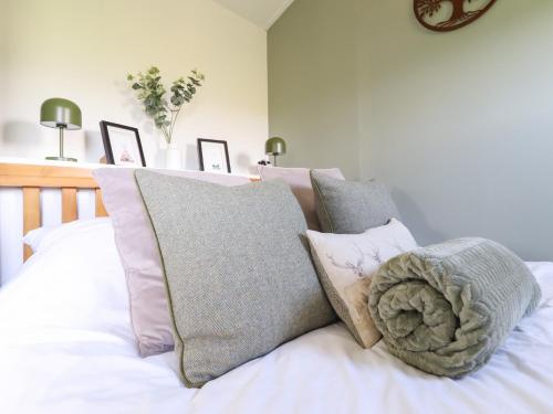 Cuckoo at Wild Valley Huts, Oswestry (zdjęcie 9)