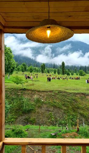 Alrededores, Wanderlust Chapter 2 in Sharda