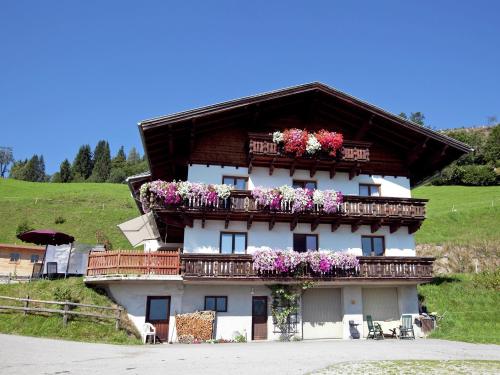 Apartment Durchholzhof 1