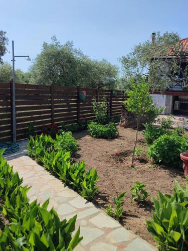 VILLA IATROU